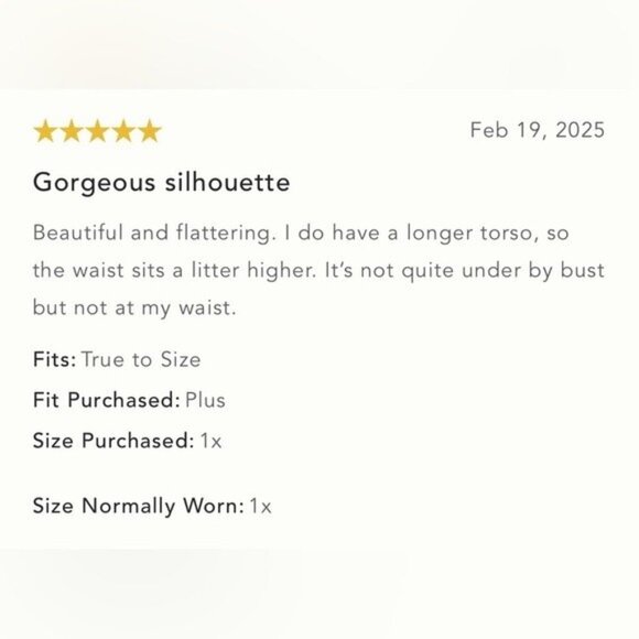 NWT Size L- Anthropologie The Somerset Maxi Dress: Halter Edition (NWT US$198) - Picture 9 of 14